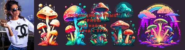 дурь Дмитриев