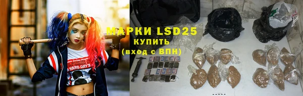 стафф Дмитровск