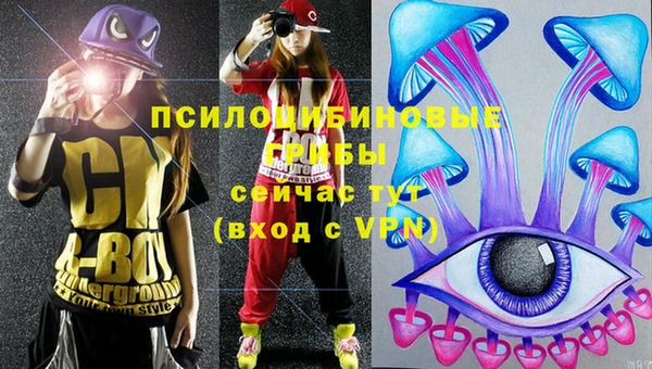 мяу мяу кристалл Дмитров