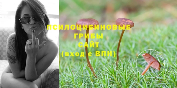 мяу мяу кристалл Дмитров