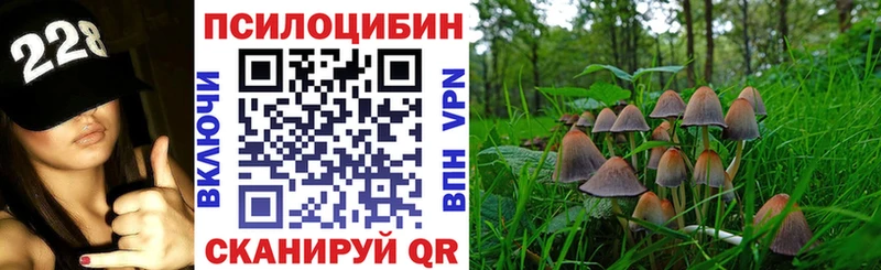 Купить закладки  Медвежьегорск  Псилоцибиновые грибы мухоморы 